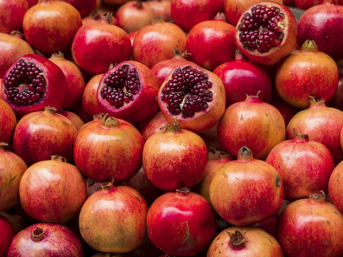 Granada de Frutas Campillo
