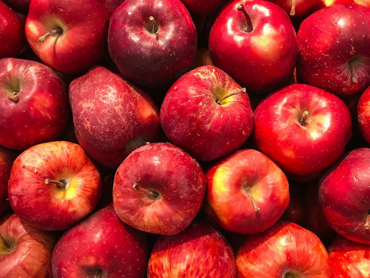Manzana de SAT Levante Fresco