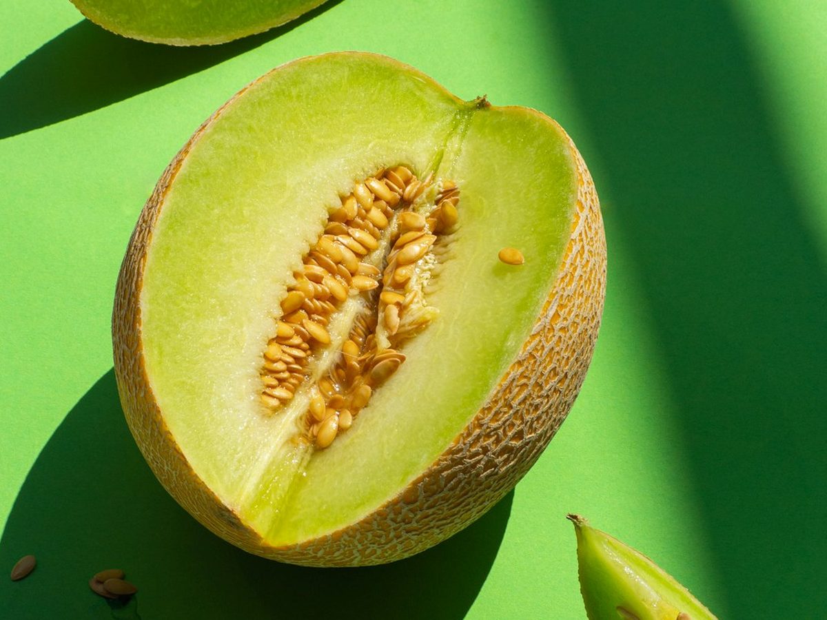 Melón de SAT Levante Fresco