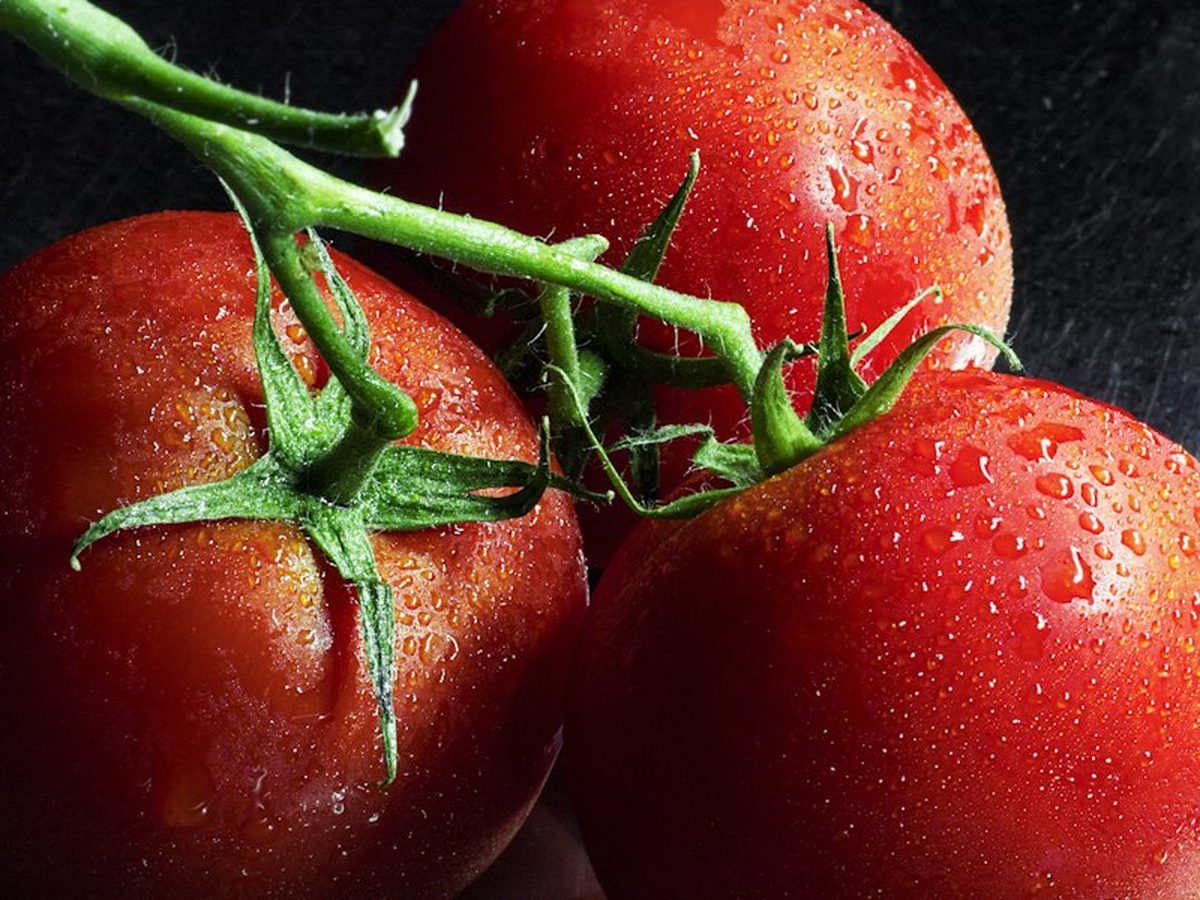 Tomate de Cooperativa San Roque de Antequera